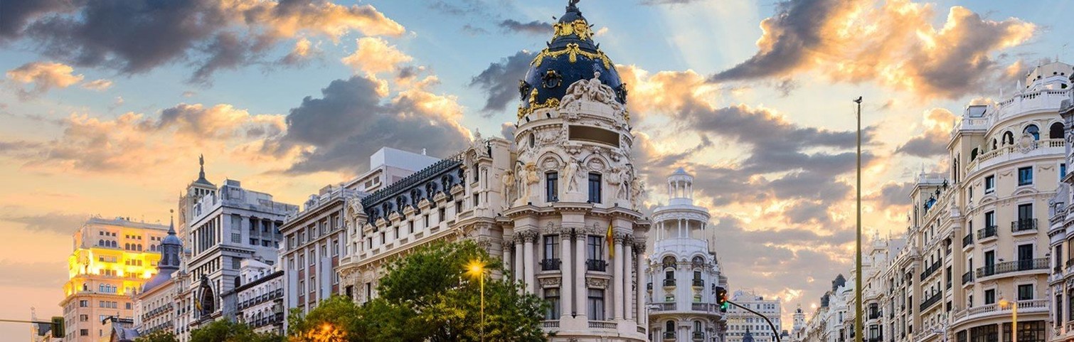 Desinfecciones Madrid